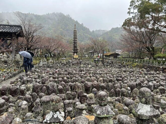 Kyoto Private Car Tour With Japanese&Local Guide - Key Stops Along the Tour