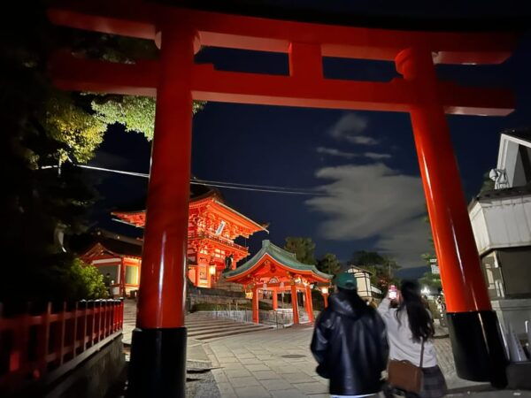 Kyoto Private Car Tour With Japanese&Local Guide - Customization Options