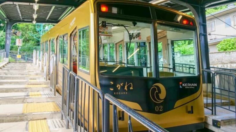 Kyoto: Private charter tour (Bamboo Trail, Suzumushi Temple) - Good To Know