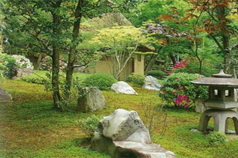 Kyoto: Private charter tour (Bamboo Trail, Suzumushi Temple) - Good To Know