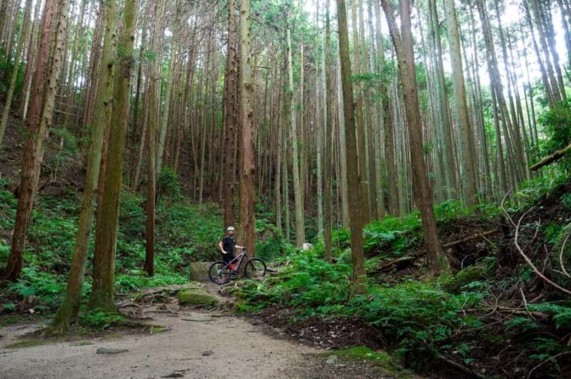 Kyoto: Private Countryside E-Bike Tour with Lunch and Tea - Good To Know