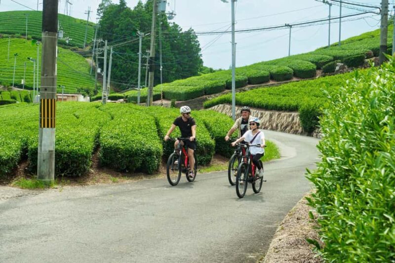 Kyoto: Private Countryside E-Bike Tour with Lunch and Tea - Practical Details and Considerations
