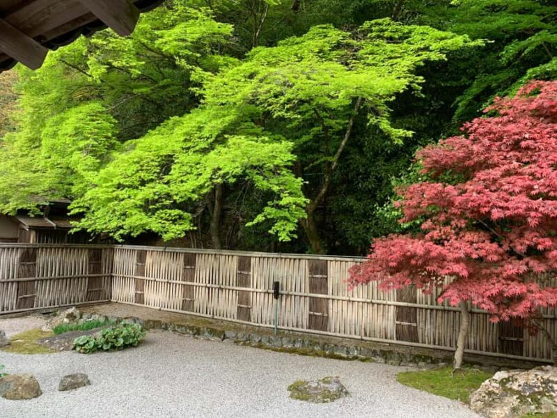 Kyoto: Private Cultural and Historical Tour in Spanish - What to Expect & Practical Details