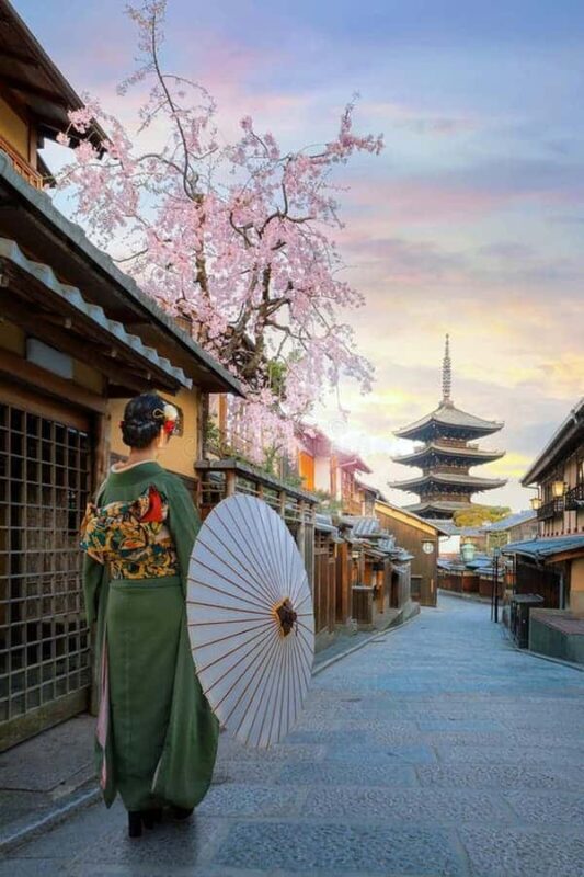 Kyoto: Private Custom Tour with English Guide and Vehicle - An In-Depth Look at the Experience