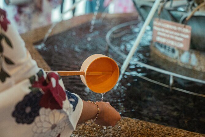 Kyoto Private Custom Tour: World Heritage, Landmarks & Local Life - A Closer Look at the Experience