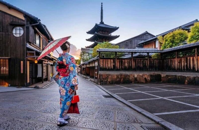 Kyoto: Private Customizable Day Tour with Guide and Vehicle - Transportation & Group Dynamics