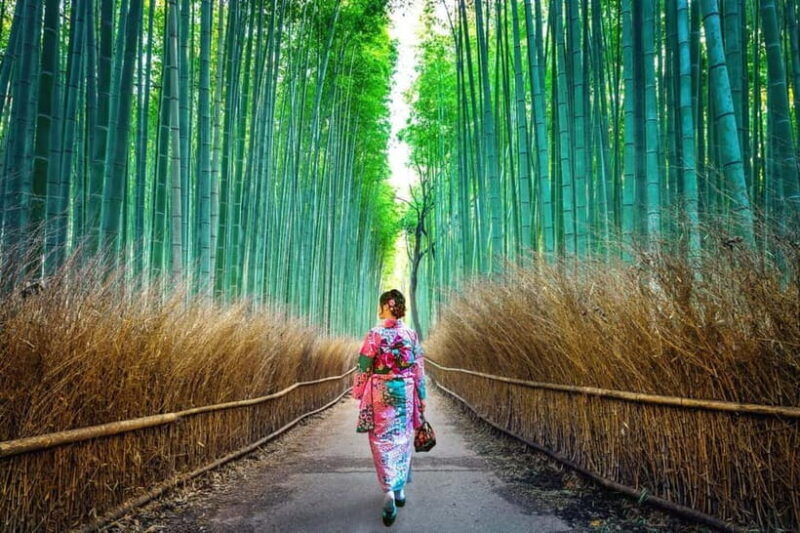 Kyoto: Private Customizable Day Tour with Guide and Vehicle - The Value Proposition