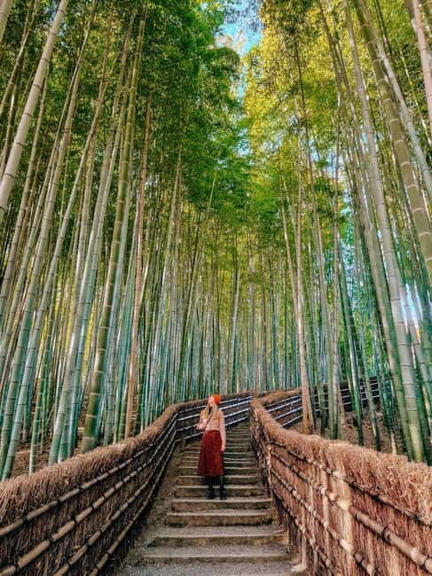 Kyoto: Private Customizable Day Tour with Guide and Vehicle - Final Thoughts