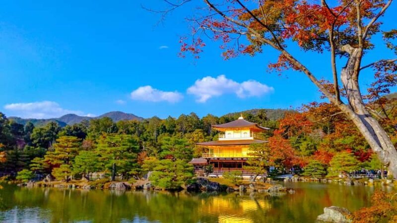 Kyoto: Private Customizable Day Trip - Good To Know