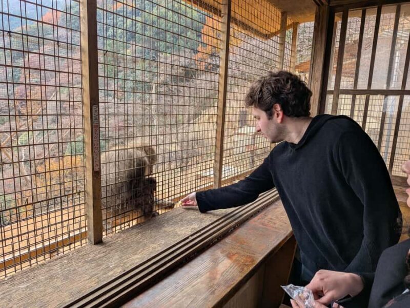 Kyoto: Private Customizable Day Trip - Final Thoughts: Who Will This Tour Suit Best?