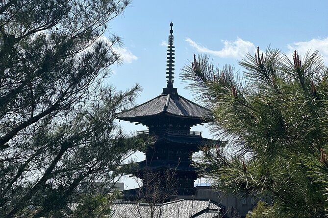 Kyoto Private Customizable Day Trip With English chauffeur - An Overview of the Experience