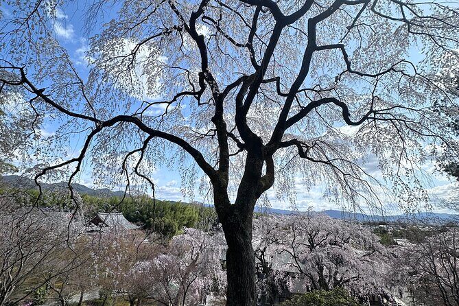 Kyoto Private Customizable Day Trip With English chauffeur - What’s Included and What’s Not