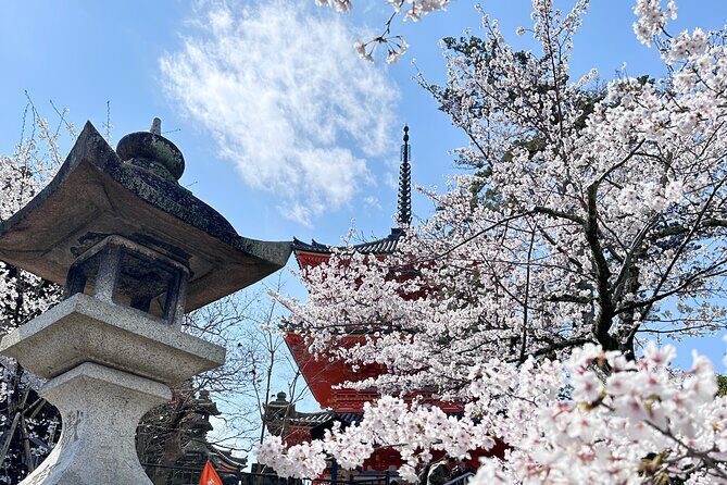 Kyoto Private Customizable Day Trip With English chauffeur - The Experience of a Personalized Tour