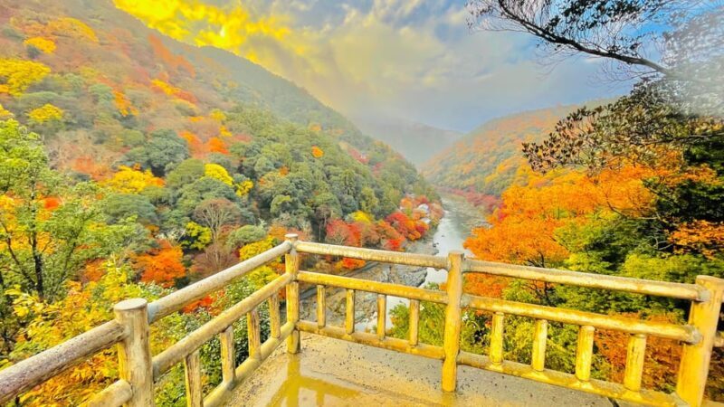 Kyoto: Private Customizable Guided tour with Luxury Vehicle - Why This Tour Can Be a Great Choice for You