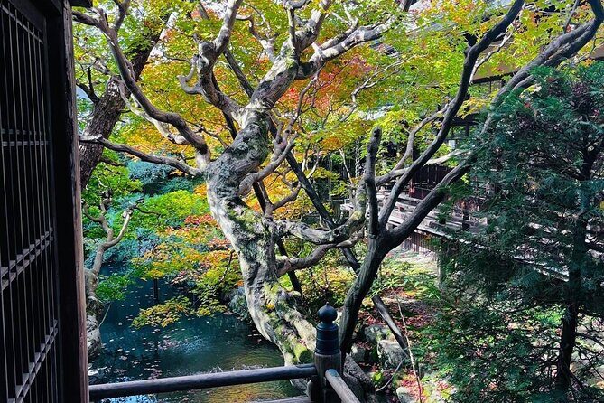 Kyoto Private & Customizable Tour with English-Speaking Driver - The Itinerary in Detail: What to Expect