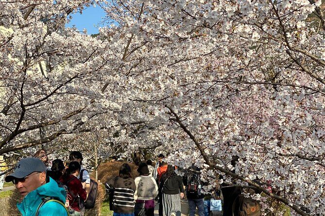 Kyoto Private & Customizable Tour with English-Speaking Driver - FAQs