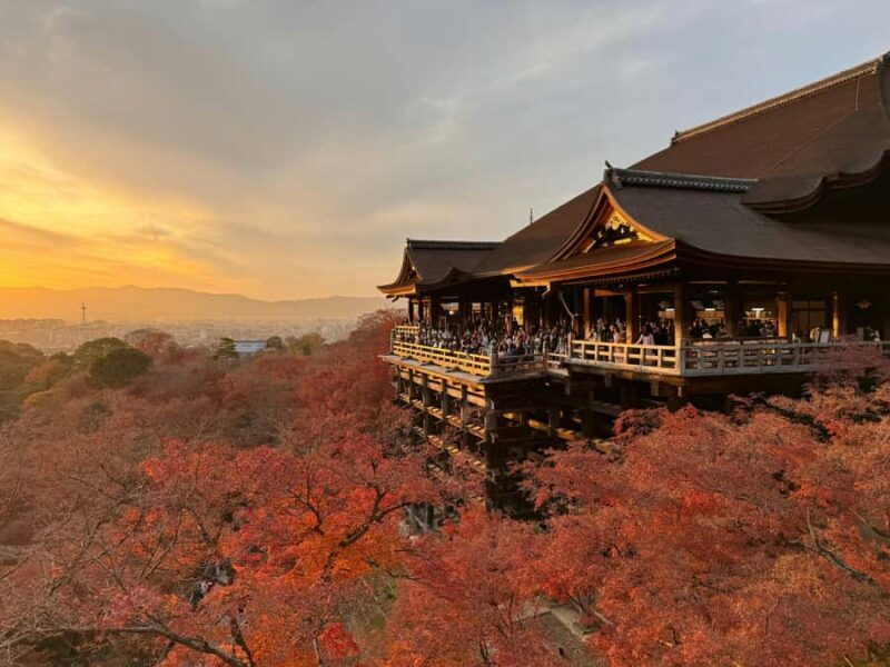 Kyoto: Private Customized Day Tour with Driver and Vehicle - Frequently Asked Questions