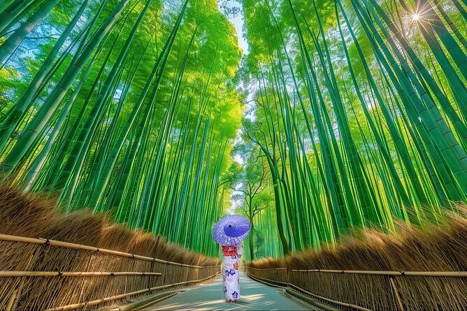 Kyoto Private Customized Day Tour with Guide - Good To Know