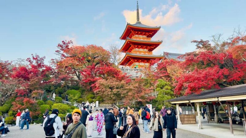 Kyoto Private Day Tour with Luxury Vehicle & English Guide - Who Should Consider This Tour?