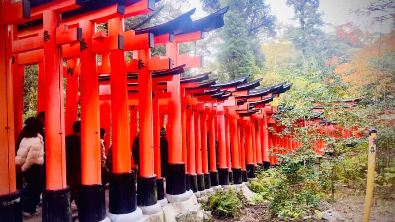 Kyoto Private Day Tour with Luxury Vehicle & English Guide - FAQs