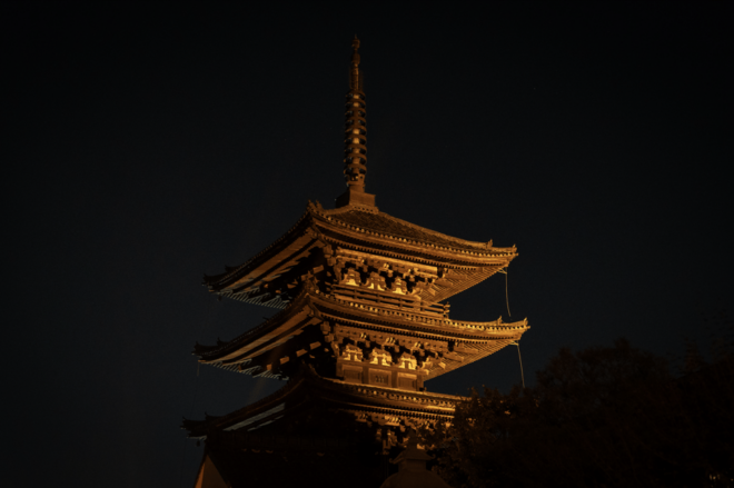 Kyoto: Private Dinner With Geisha - Booking Details