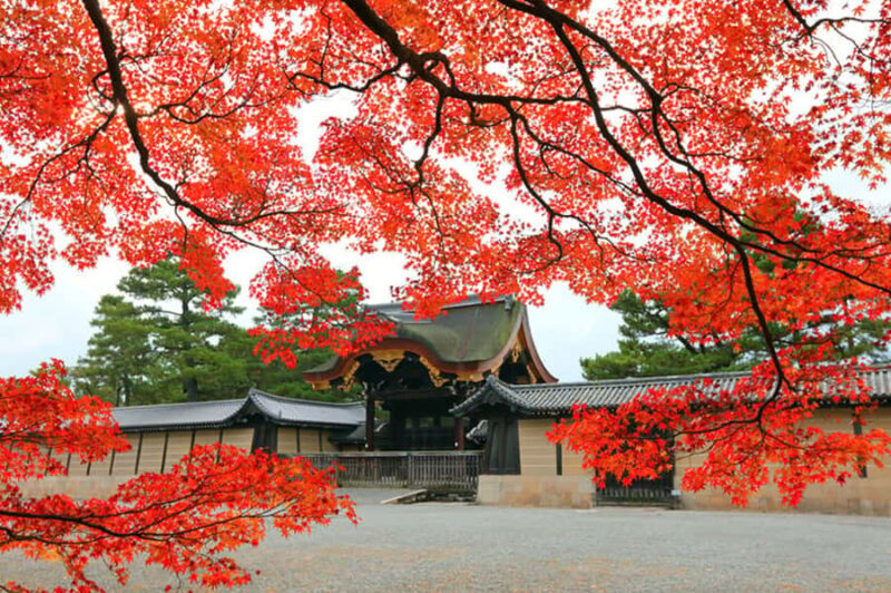 Kyoto Private E-Bike Tour: Highlights & Hidden Gems - Practical Details & Tips