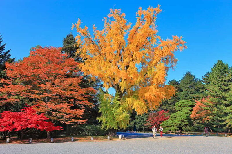 Kyoto Private E-Bike Tour: Highlights & Hidden Gems - Who Should Consider This Tour?