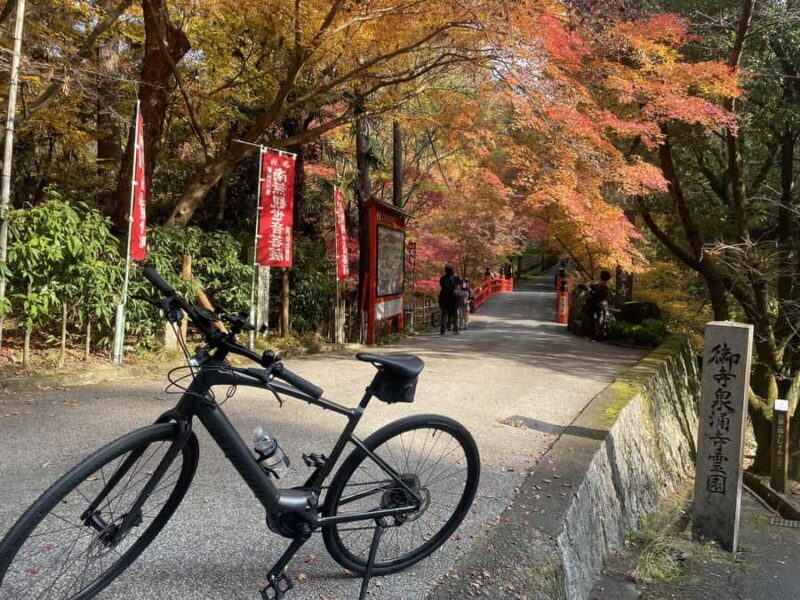Kyoto: Private E-Bike Tour of Old Kyoto - FAQ