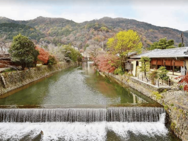 Kyoto: Private Full Day Car Tour by English Speaking Driver - Driver Information