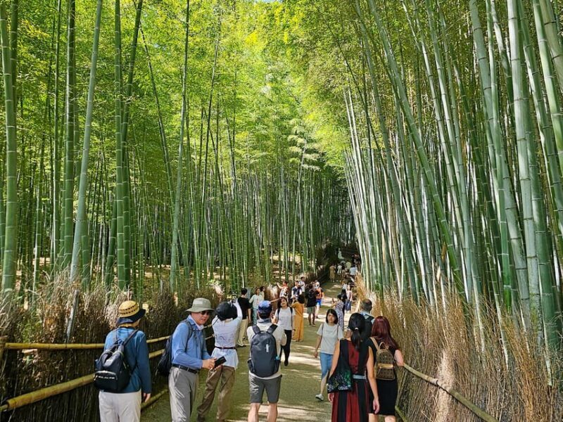 Kyoto: Private Full-Day Customizable World Heritage Tour - Good To Know