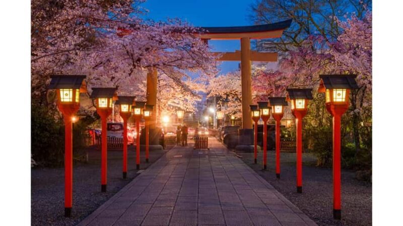 Kyoto: Private Full-Day Sakura Tour by Vehicle with Guide - Who Will Love This Tour?