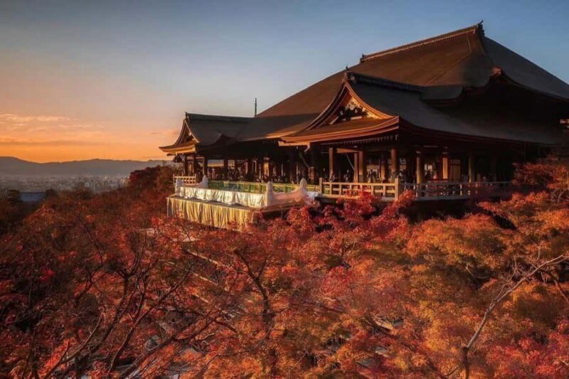 Kyoto: Private Full-Day Sakura Tour by Vehicle with Guide - The Sum Up