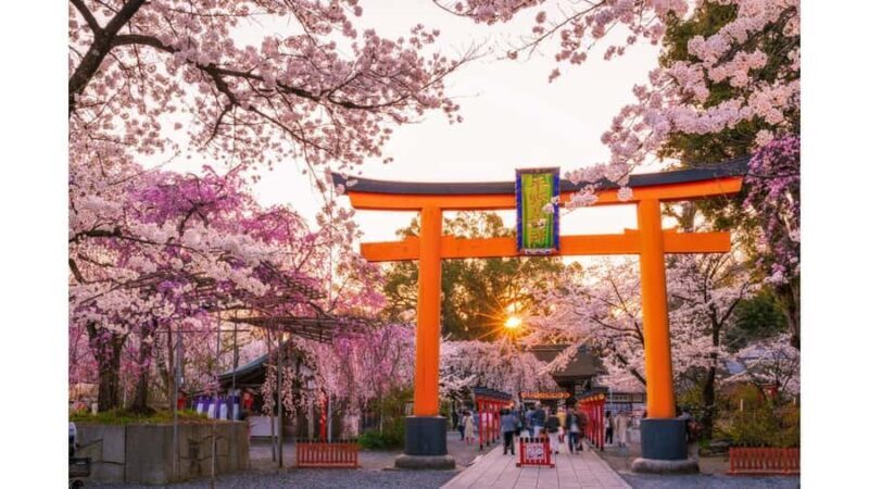 Kyoto: Private Full-Day Sakura Tour by Vehicle with Guide - FAQ