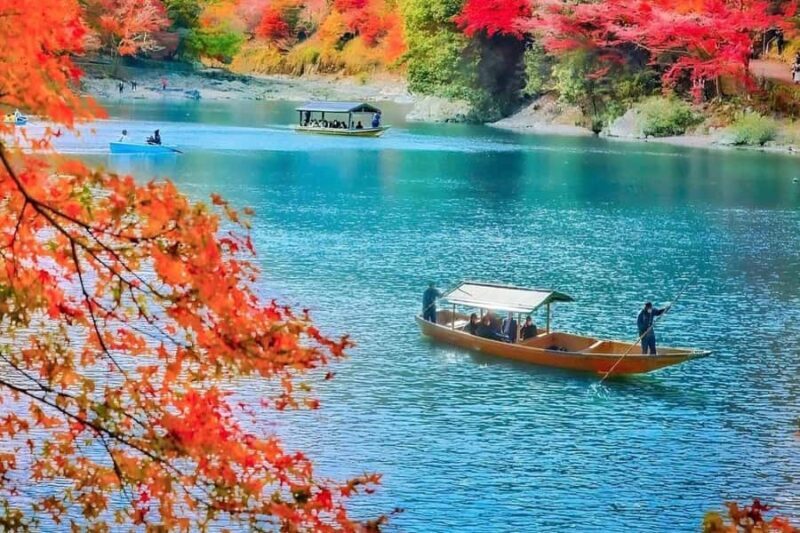 Kyoto: Private Full-Day Sakura Tour by Vehicle with Guide - Practical Details and Value