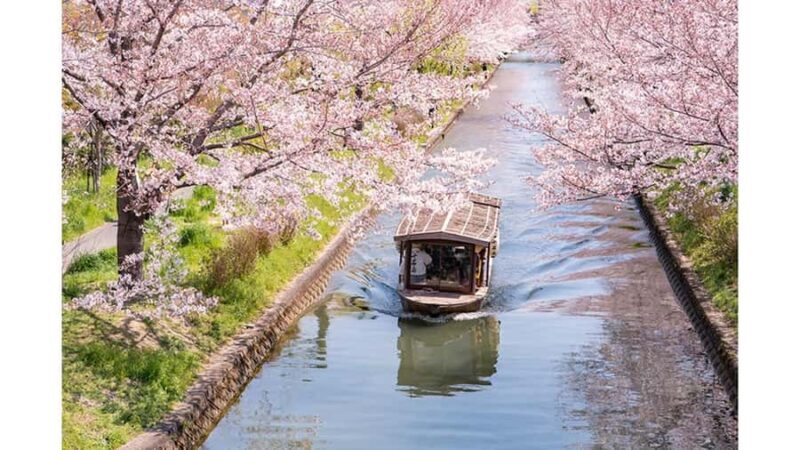 Kyoto: Private Full-Day Sakura Tour by Vehicle with Guide - FAQ