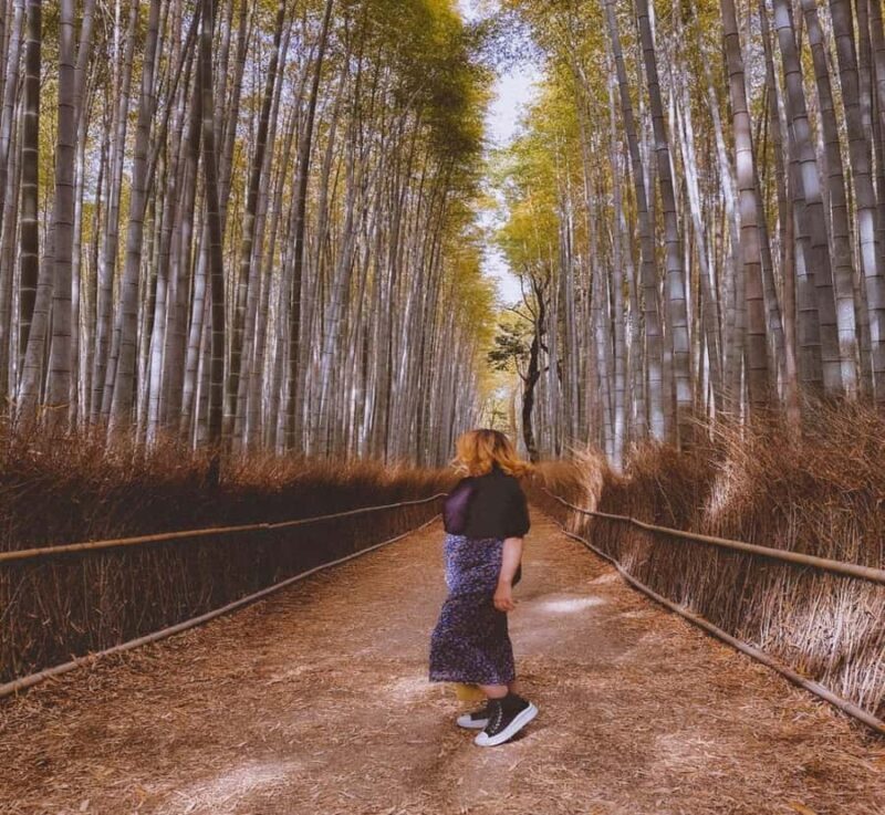 Kyoto Private Full-Day Sightseeing Tour from Nikko - An In-Depth Look at the Experience