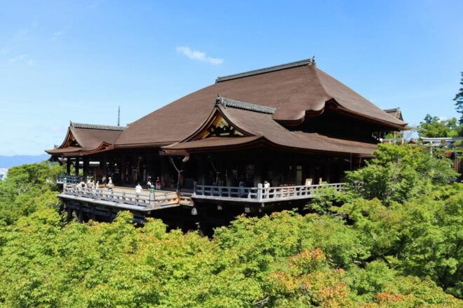 Kyoto: Private Full-Day Tour by Car - Inclusions and Flexibility