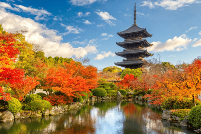 Kyoto Private Group Tour From Osaka/Nara - Itinerary Details