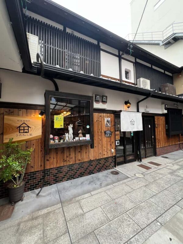 Kyoto: Private/GroupEthical Cat Sanctuary & Tea Ceremony - Good To Know