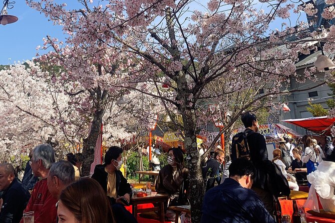 Kyoto Private Guided Beauty Tour - Pricing and Inclusions