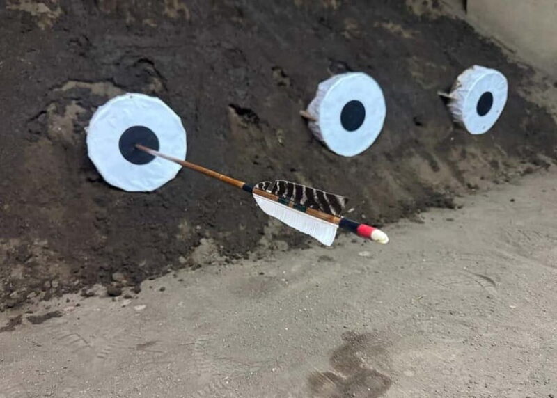 Kyoto Private Guided Tour & Japanese Archery Experience - An In-Depth Look at the Kyoto Private Guided Tour & Japanese Archery Experience