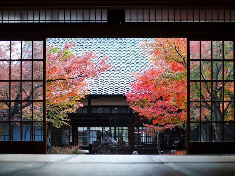 Kyoto Private Guided Tour: One Day Highlights and Cultural Gems - Gion and Yasaka Shrine put Kyoto’s traditions in view