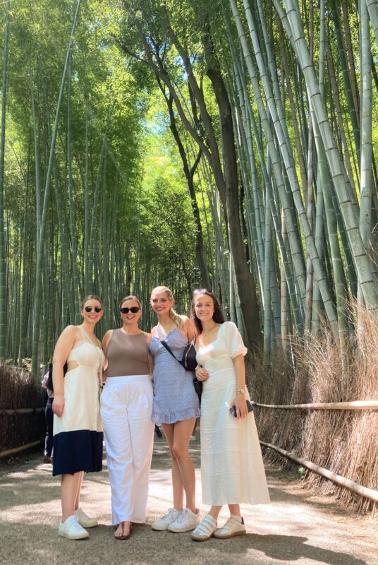 Kyoto Private Guided Tour: One Day Highlights and Cultural Gems - Price, pace, and who should book