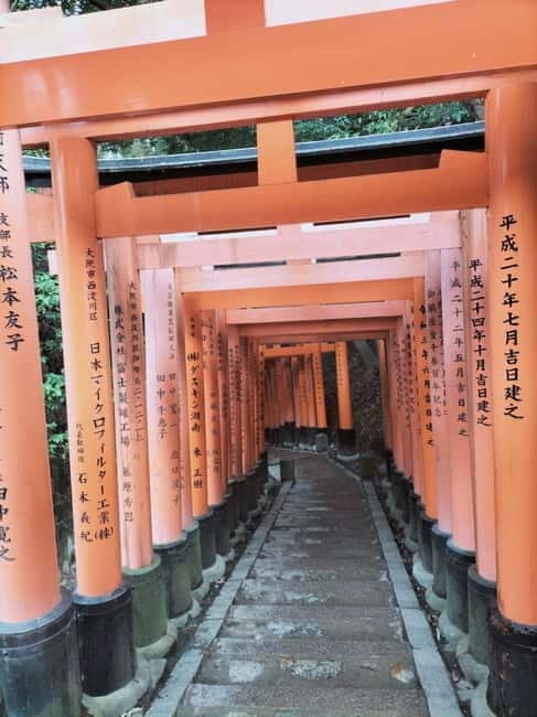 Kyoto: Private Guided Tour with a Local Guide - Frequently Asked Questions (FAQs)  