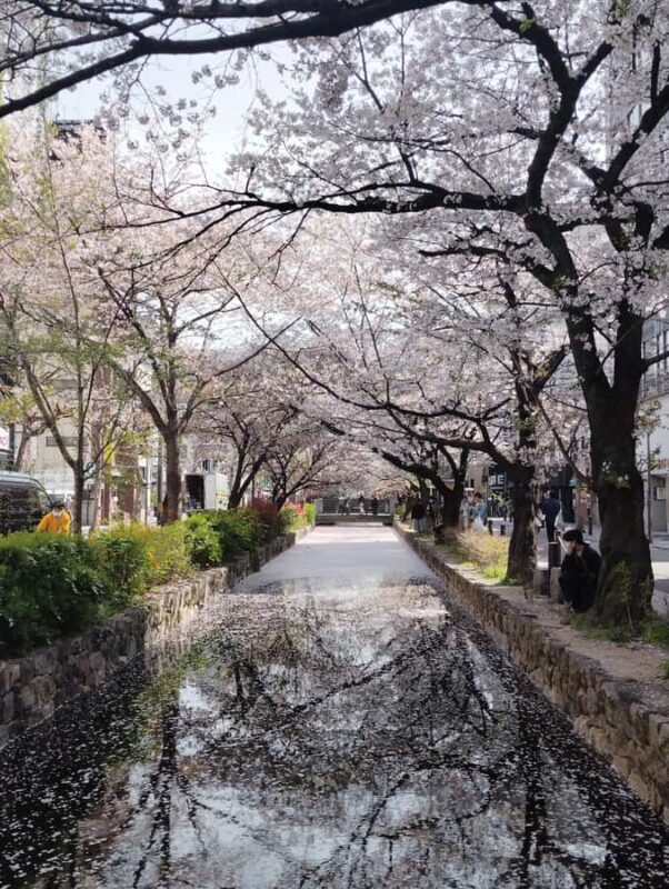 Kyoto: Private guided Tour with English speaking guide - Why Choose This Tour?