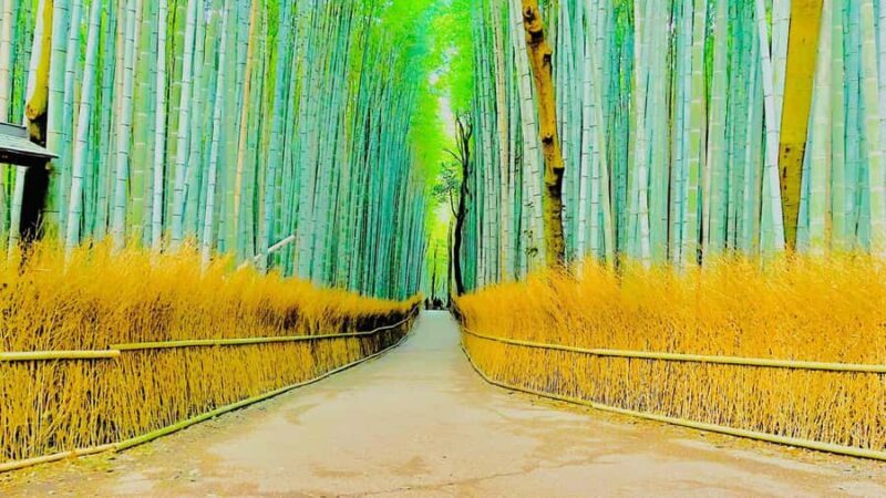 Kyoto: Private guided Tour with English speaking guide - Practical Details and What You Need to Know