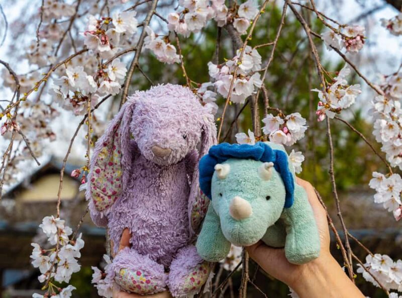 Kyoto: Private Guided Walking Tour of Kyoto with an expert - Authentic Experience and Cultural Insights