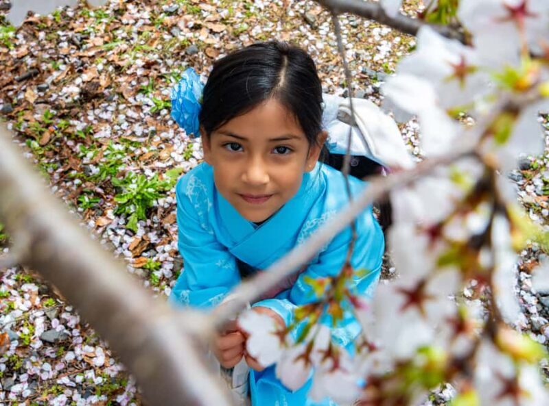 Kyoto: Private Guided Walking Tour of Kyoto with an expert - Good To Know  