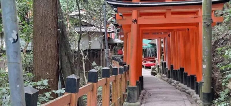 Kyoto: Private Half-Day Tour with Fushimi Inari Taisha - The Value for Money