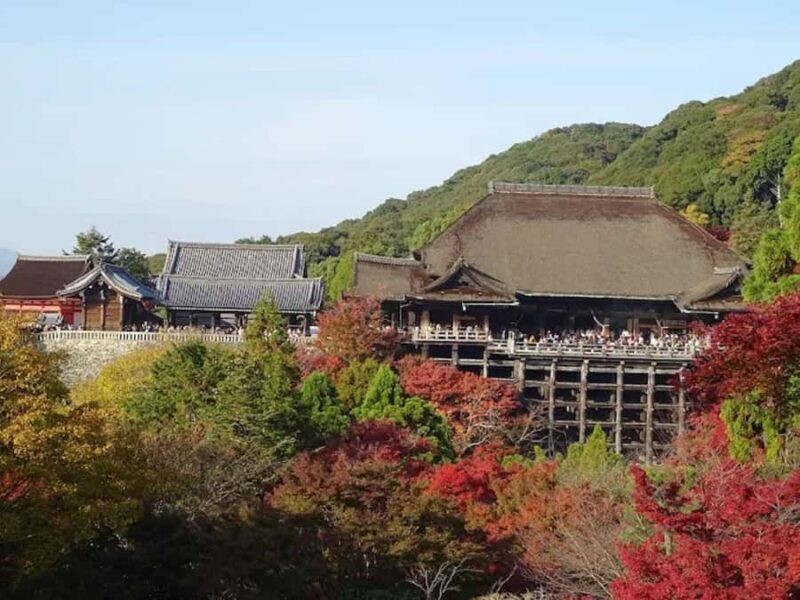 Kyoto: Private Half-Day Tour with Fushimi Inari Taisha - The Sum Up